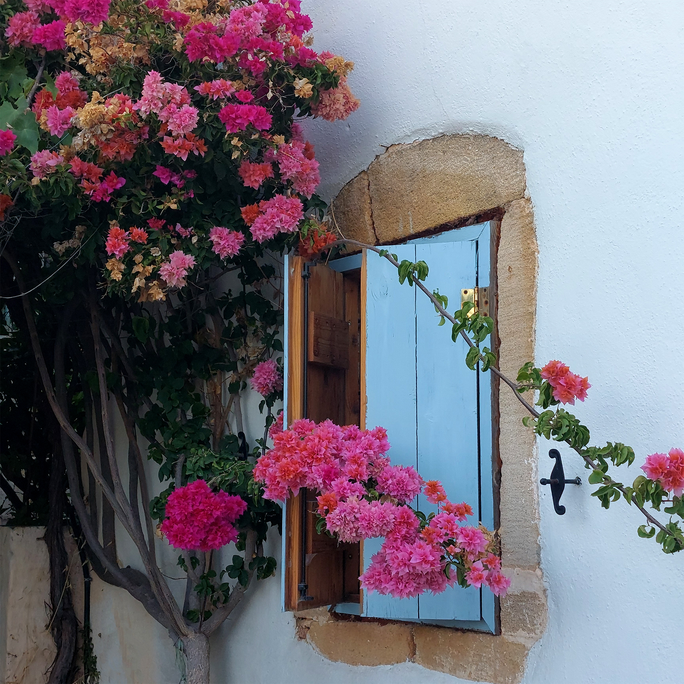 Le Cottage du Soleil, le charme authentique.